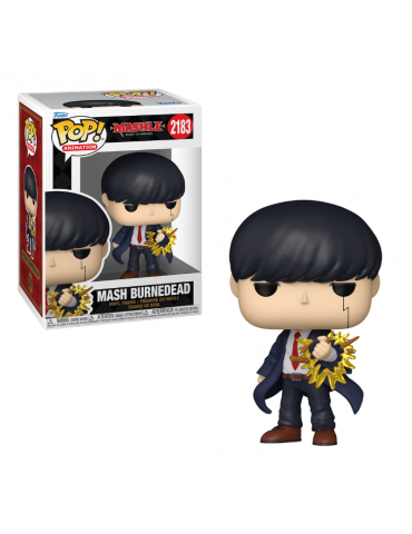 Funko Pop Mash Burnedead -...